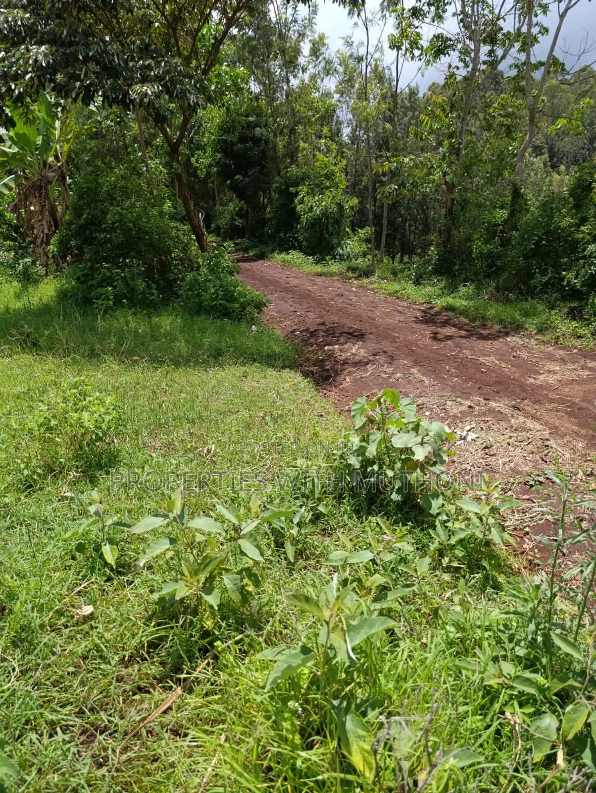 1/4 Acre Plot for Sale in Kiamuthambi, Kirinyaga County. in Njukiini