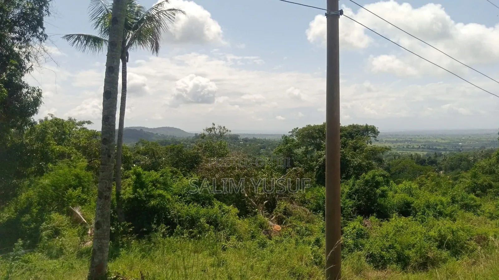 Land on Sale Vuga Kwale Count 5 Acres in Tsimba Golini