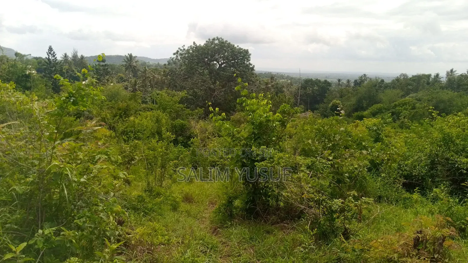 Land on Sale Vuga Kwale Count 5 Acres in Tsimba Golini