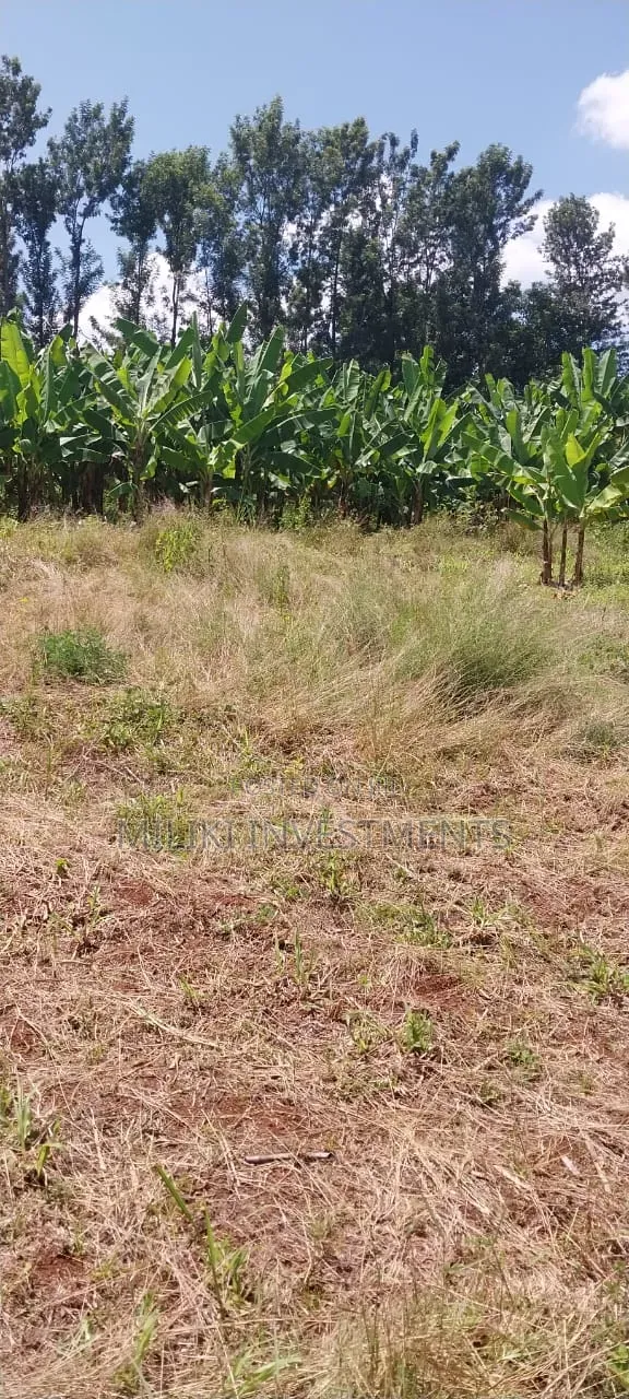 3 Acres on Sale Summary Area-Casablanca in Makuyu