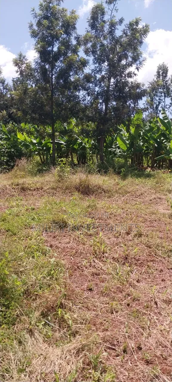 3 Acres on Sale Summary Area-Casablanca in Makuyu