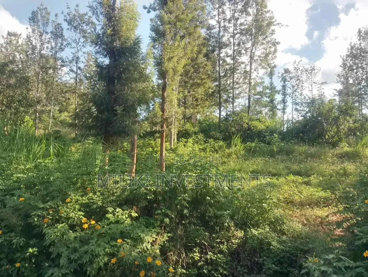 2 Acres on Sale at Murang'a-Kahuho in Makuyu