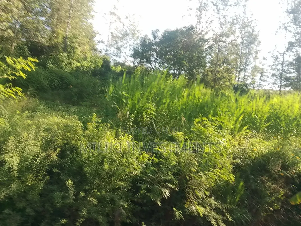 2 Acres on Sale at Murang'a-Kahuho in Makuyu