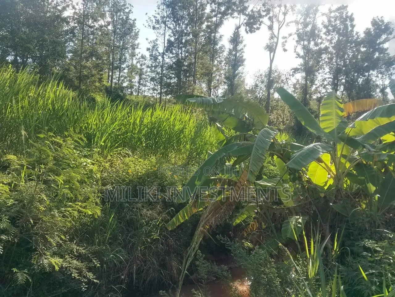 2 Acres on Sale at Murang'a-Kahuho in Makuyu