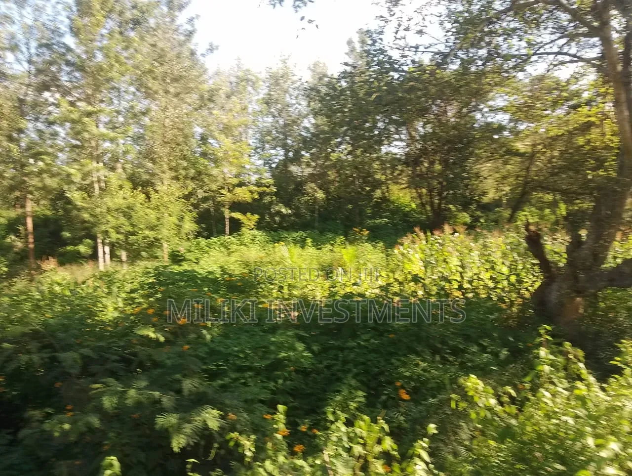 2 Acres on Sale at Murang'a-Kahuho in Makuyu