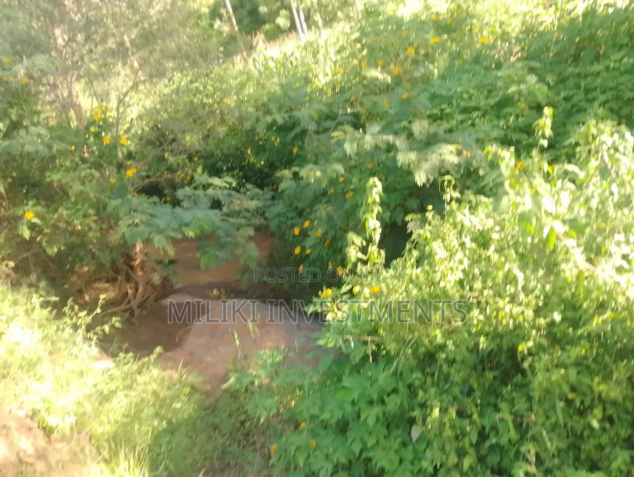 2 Acres on Sale at Murang'a-Kahuho in Makuyu