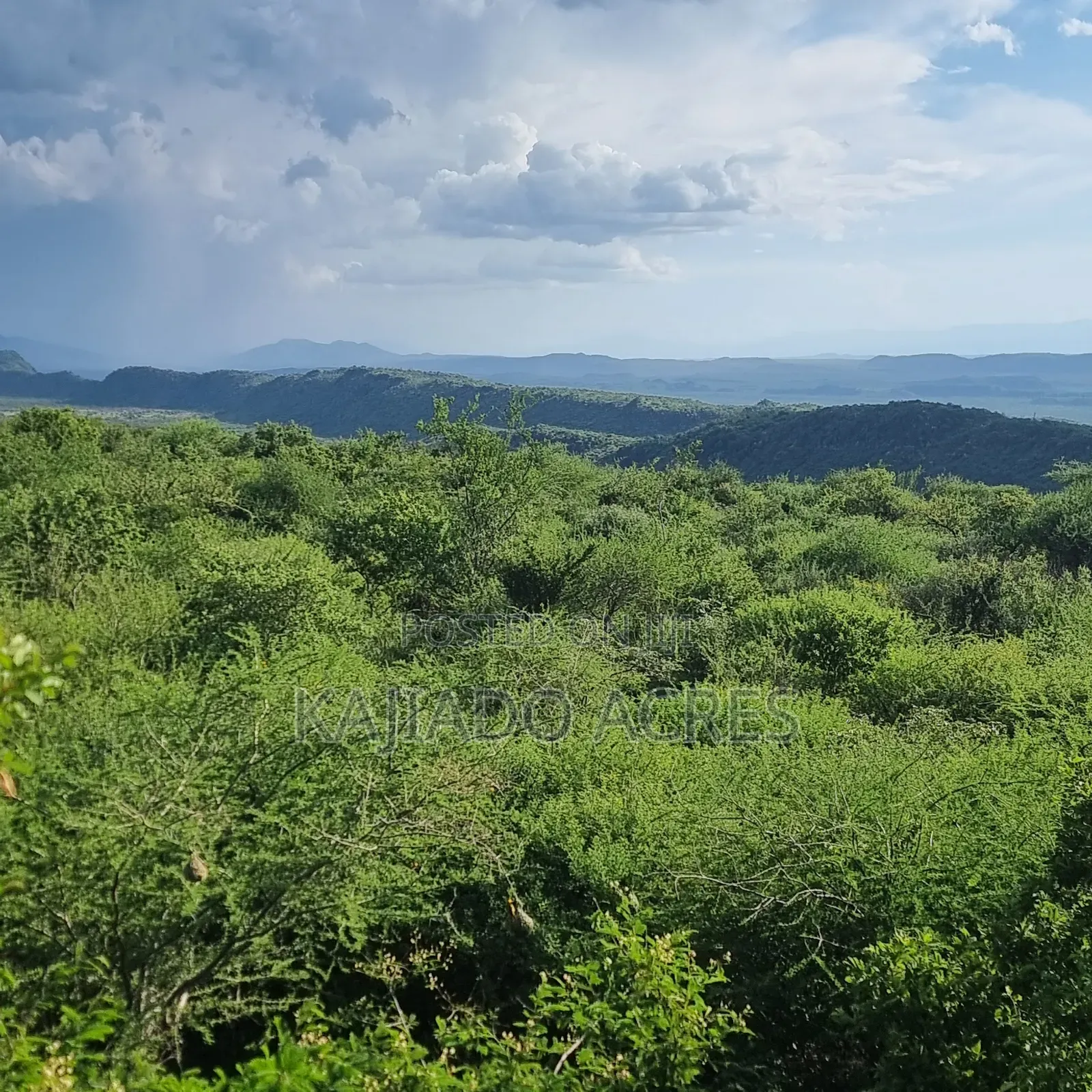 40 Acres Ilkilorit at Per Acre in Ewuaso Oonkidong'I