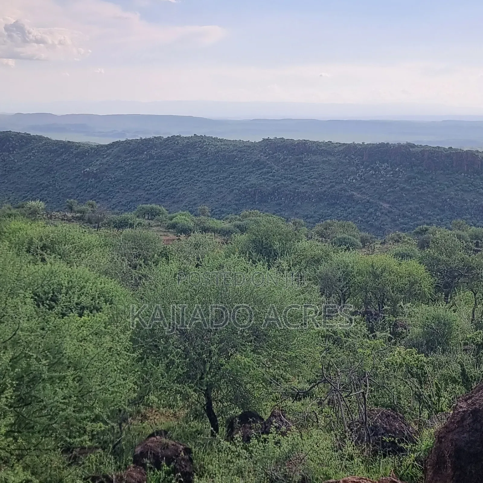40 Acres Ilkilorit at Per Acre in Ewuaso Oonkidong'I