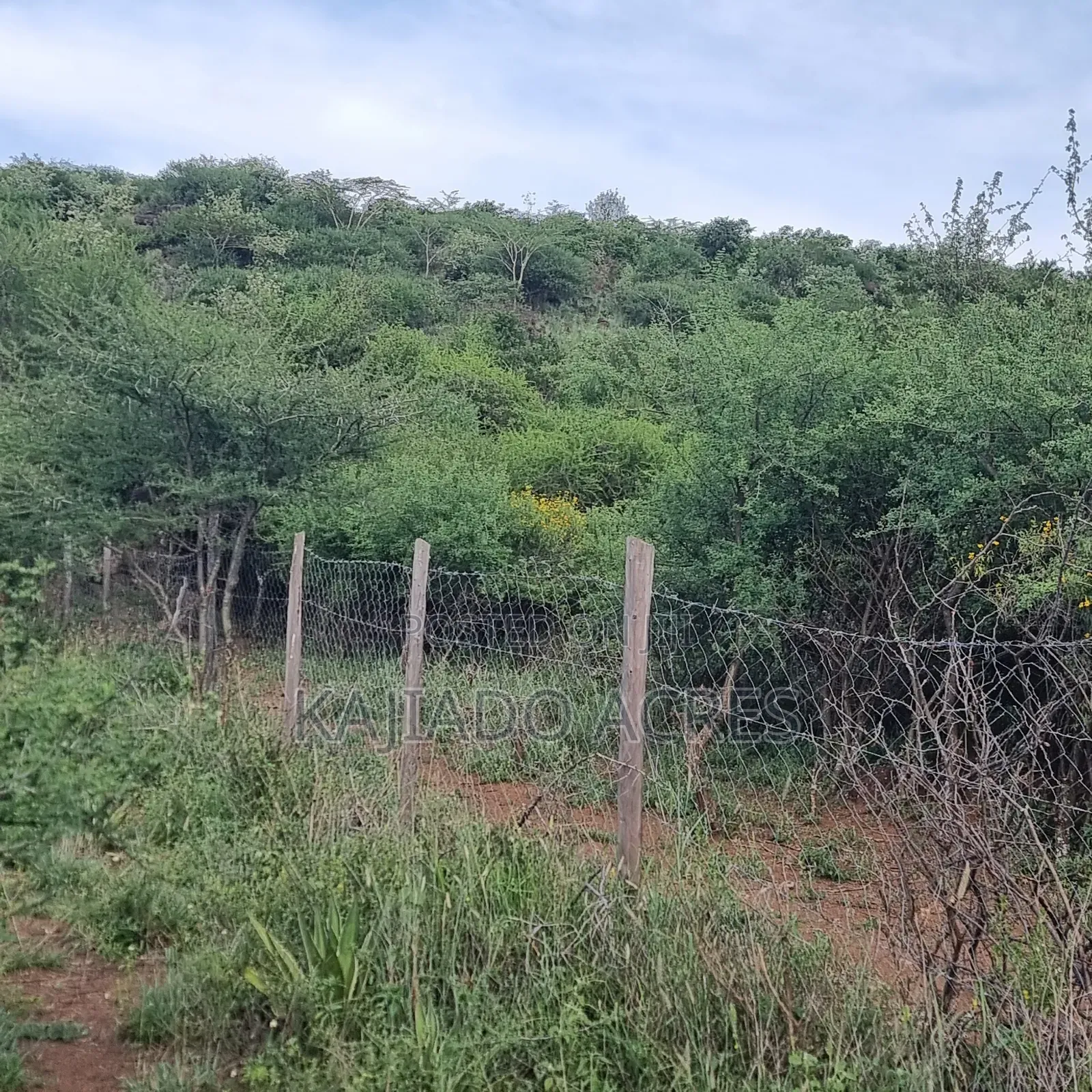 40 Acres Ilkilorit at Per Acre in Ewuaso Oonkidong'I