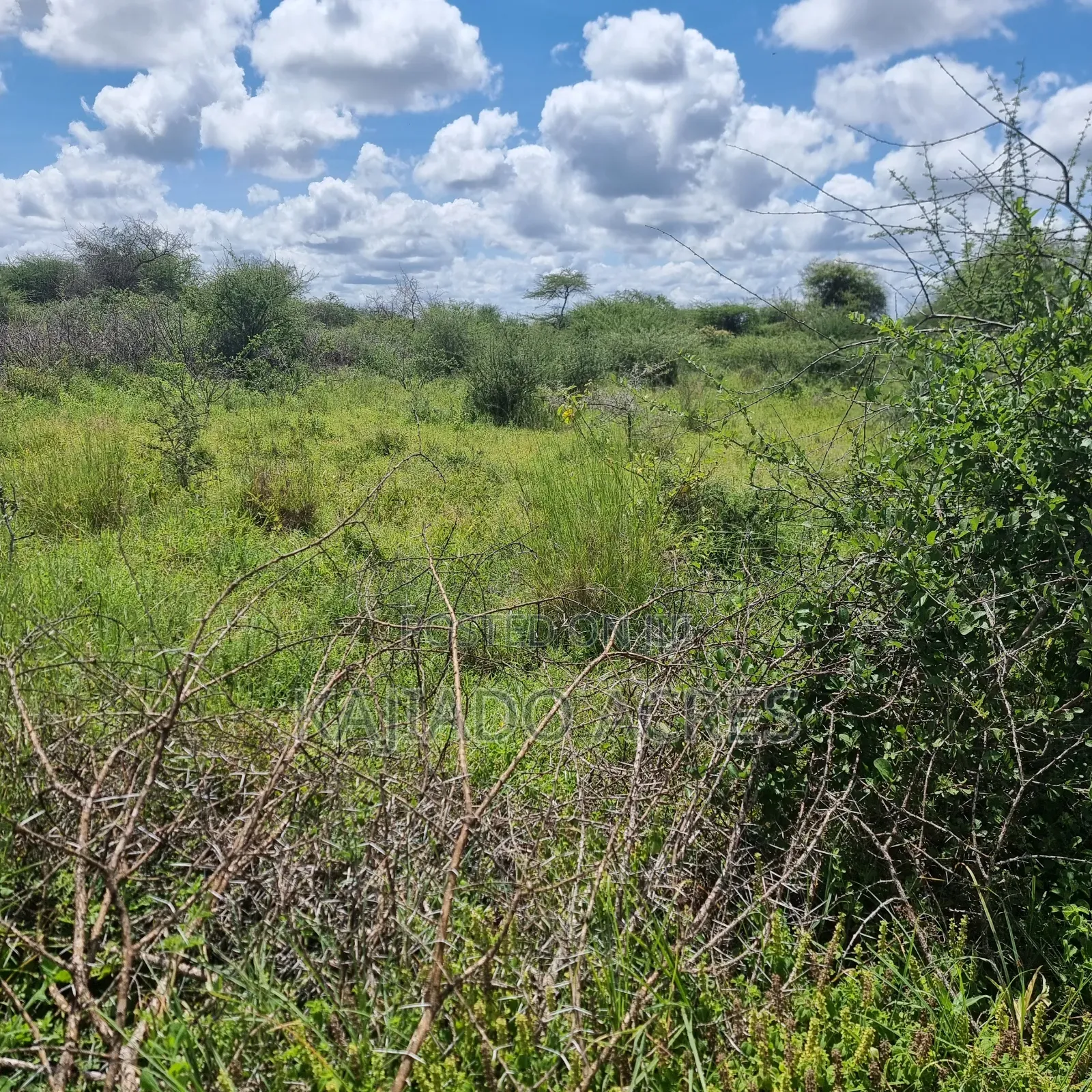 30 Acres Mashuru in Imaroro