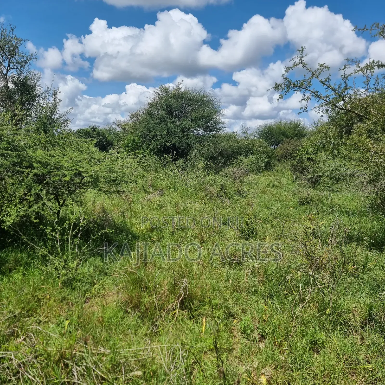 30 Acres Mashuru in Imaroro