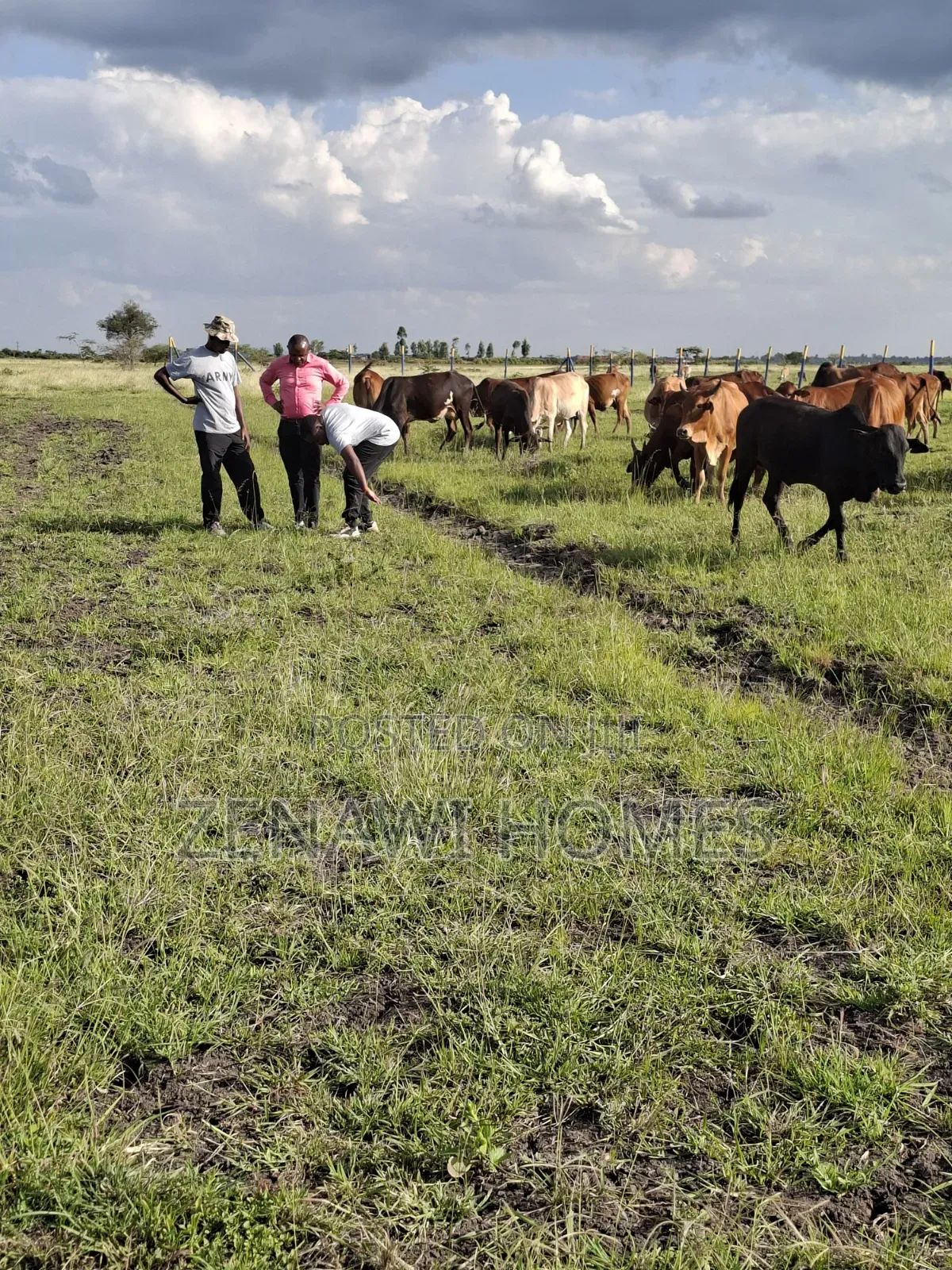 Fast Growing Town in Thika Jr in Riverside Estate