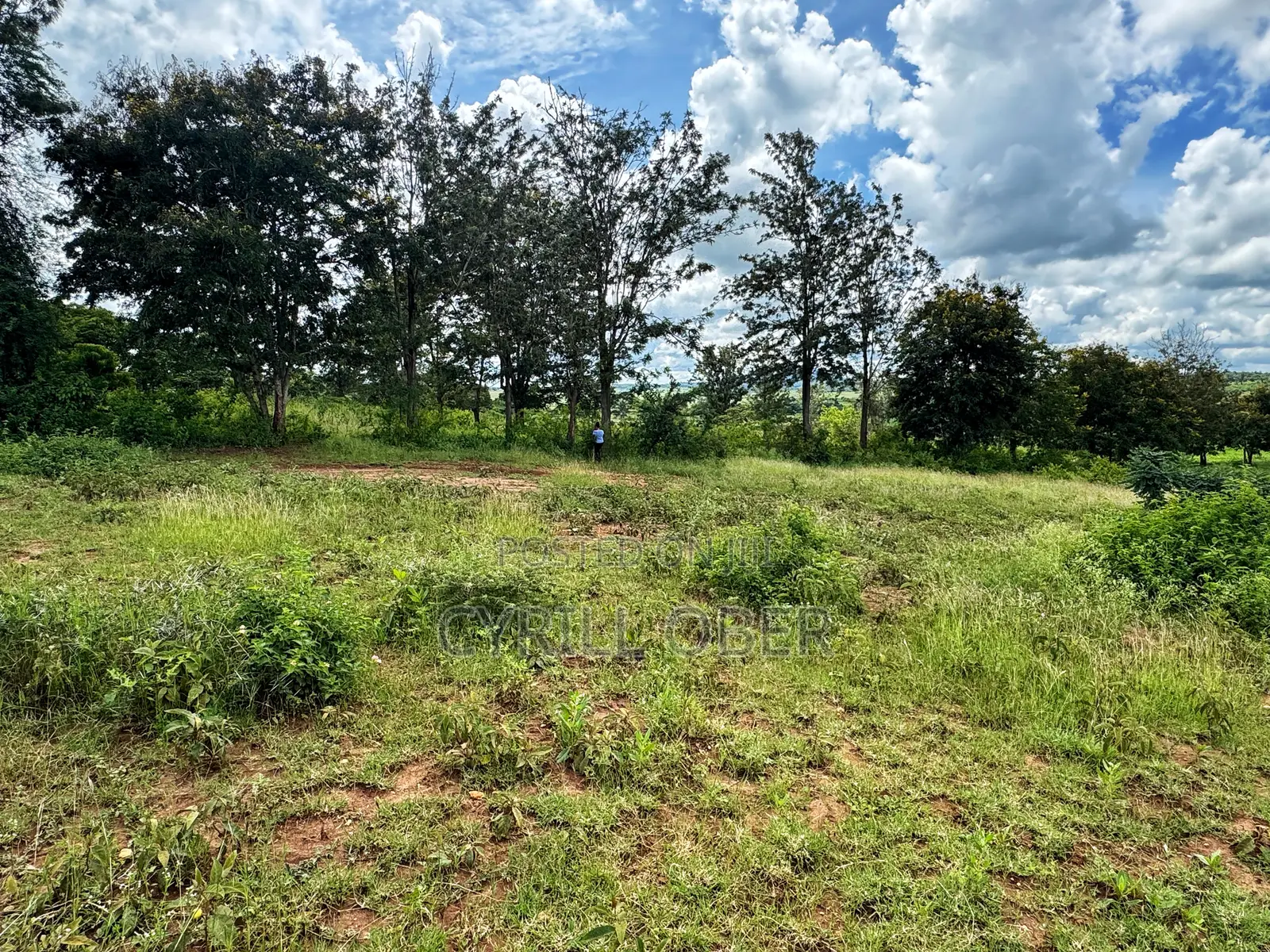 Prime 1/8 Acre Plot for Sale in Thika in Ngoliba