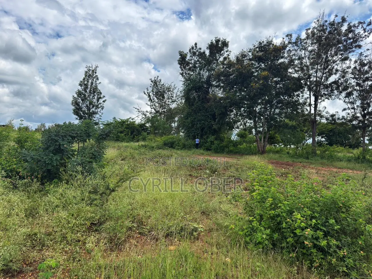 Prime 1/8 Acre Plot for Sale in Thika in Ngoliba