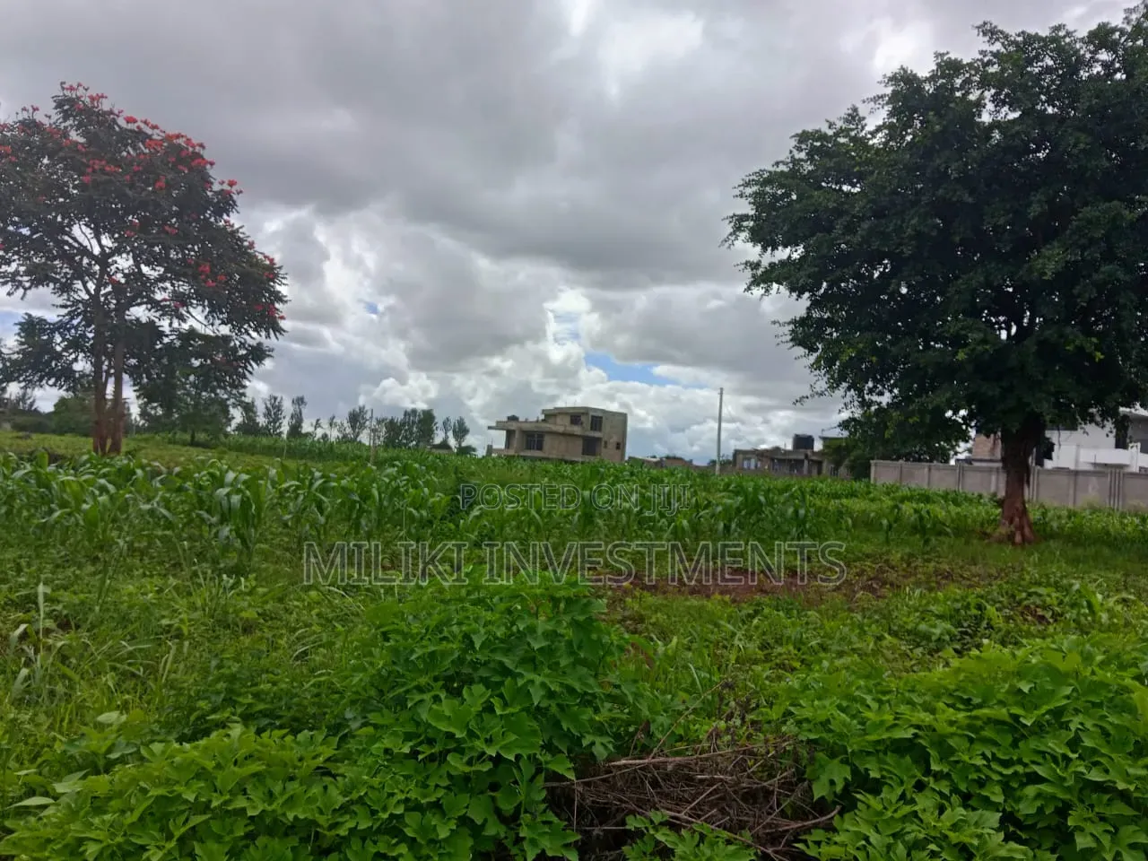 40 by 80 Plot on Sale at Twiga Farm in Toll Estate