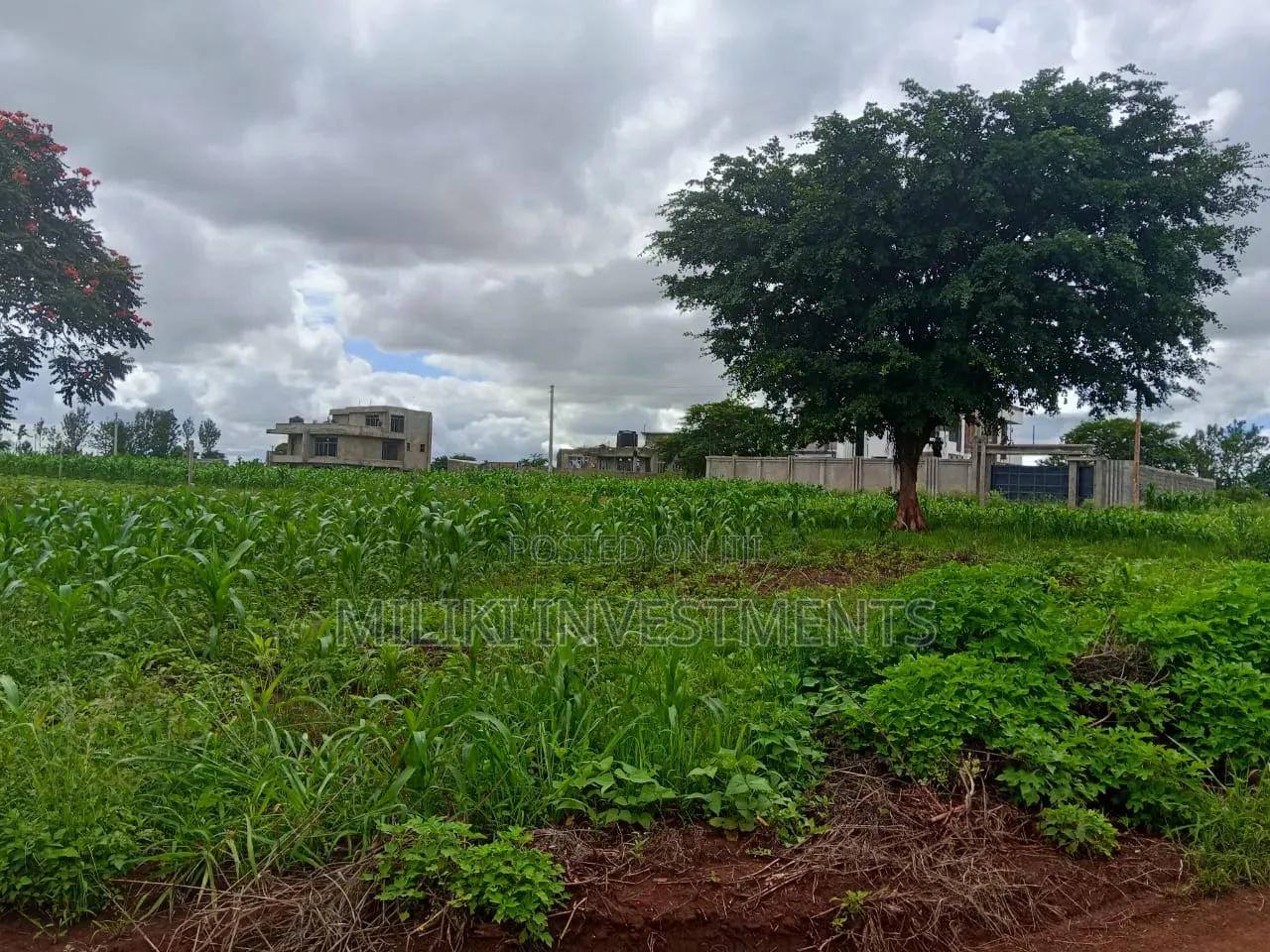 40 by 80 Plot on Sale at Twiga Farm in Toll Estate