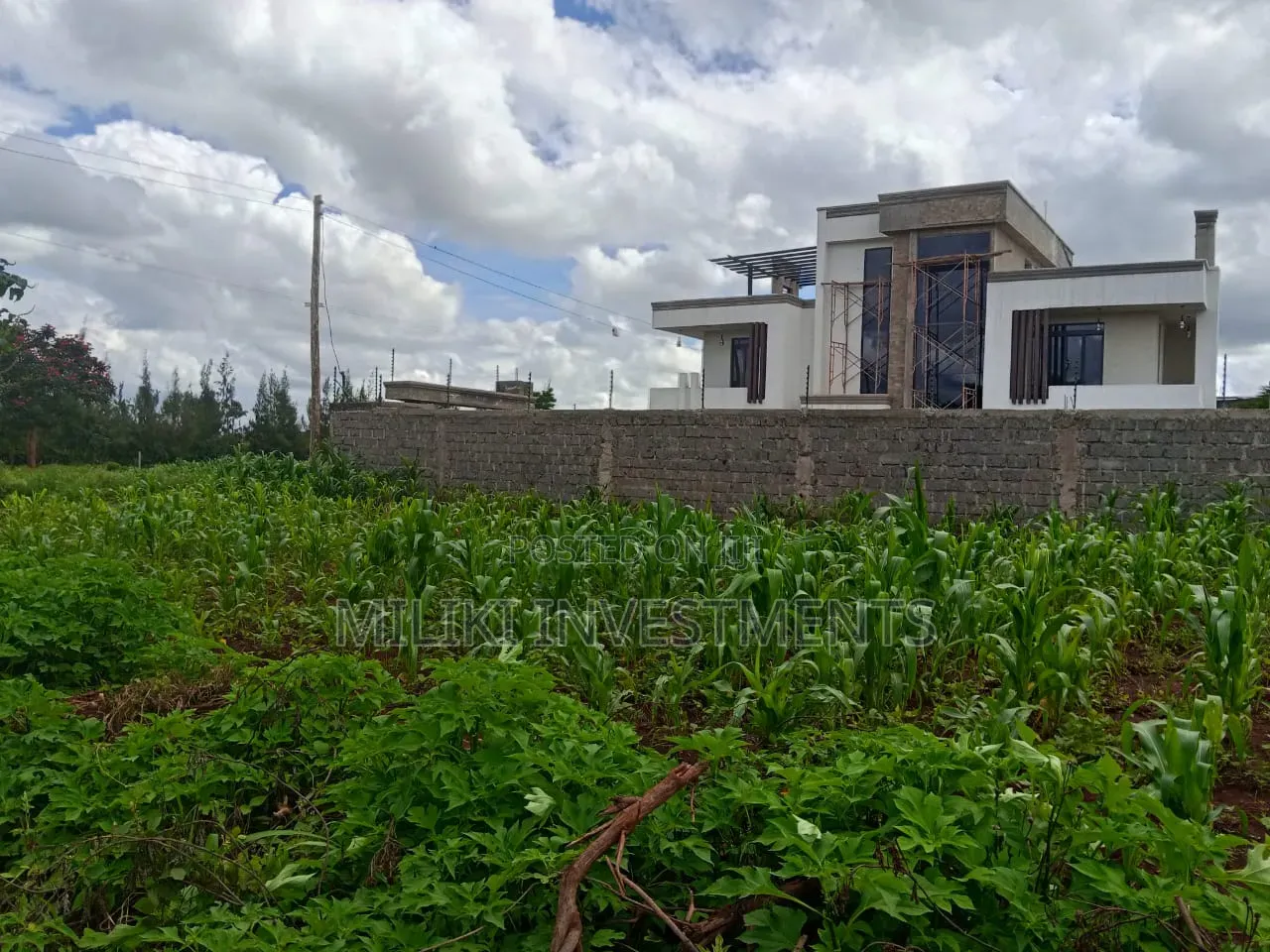 40 by 80 Plot on Sale at Twiga Farm in Toll Estate
