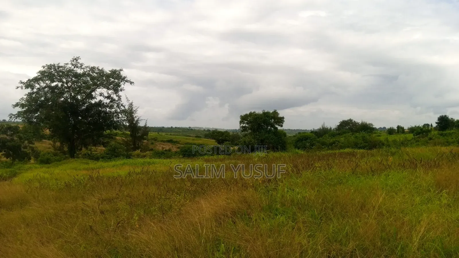 Land on Sale Kwale Kundutsi 7 Ares 950 Per Acre in Tsimba Golini