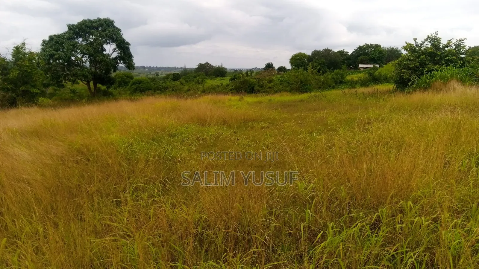 Land on Sale Kwale Kundutsi 7 Ares 950 Per Acre in Tsimba Golini