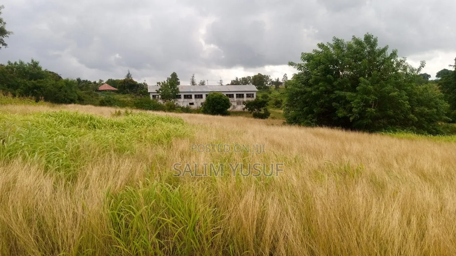 Land on Sale Kwale Kundutsi 7 Ares 950 Per Acre in Tsimba Golini