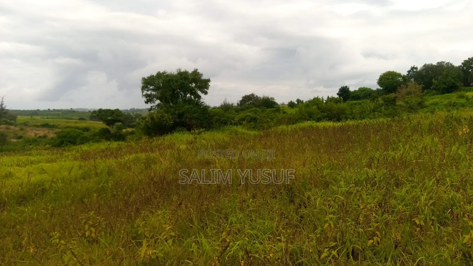 Land on Sale Kwale Kundutsi 7 Ares 950 Per Acre in Tsimba Golini