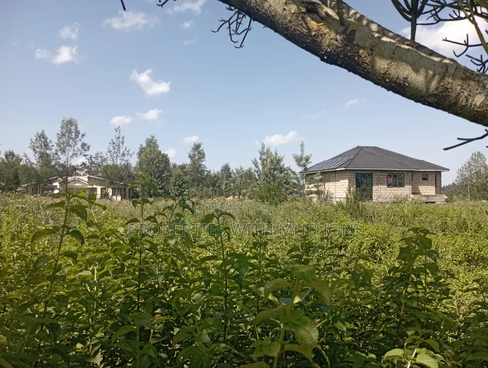 1/2 Acre Land for Sale in Memusi, Ngong. in Matasia