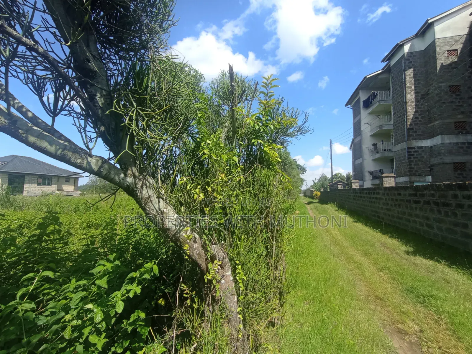 1/2 Acre Land for Sale in Memusi, Ngong. in Matasia