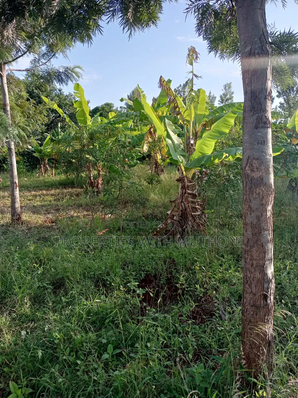 1/2 Acre for Sale in Gatarwa, Kagio. in Mutithi