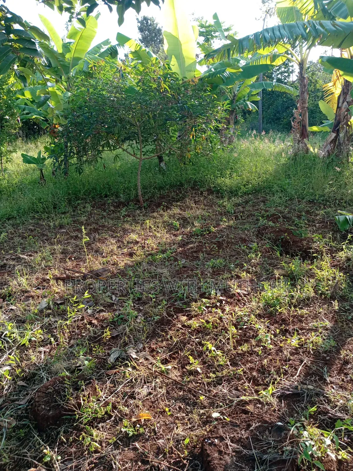 1/2 Acre for Sale in Gatarwa, Kagio. in Mutithi