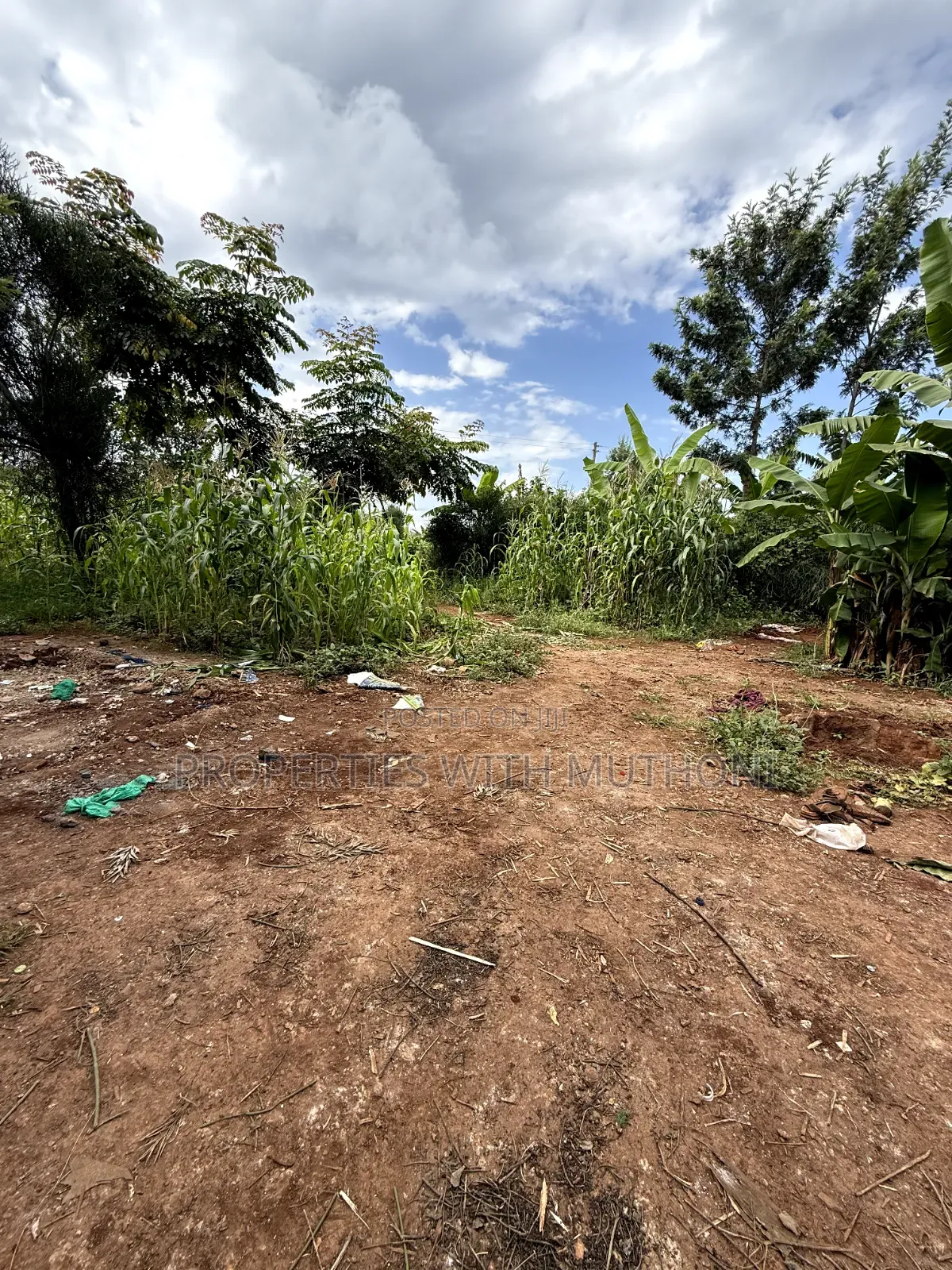 1/2 Acre Land for Sale in Gatuto, Kirinyaga County. in Murinduko