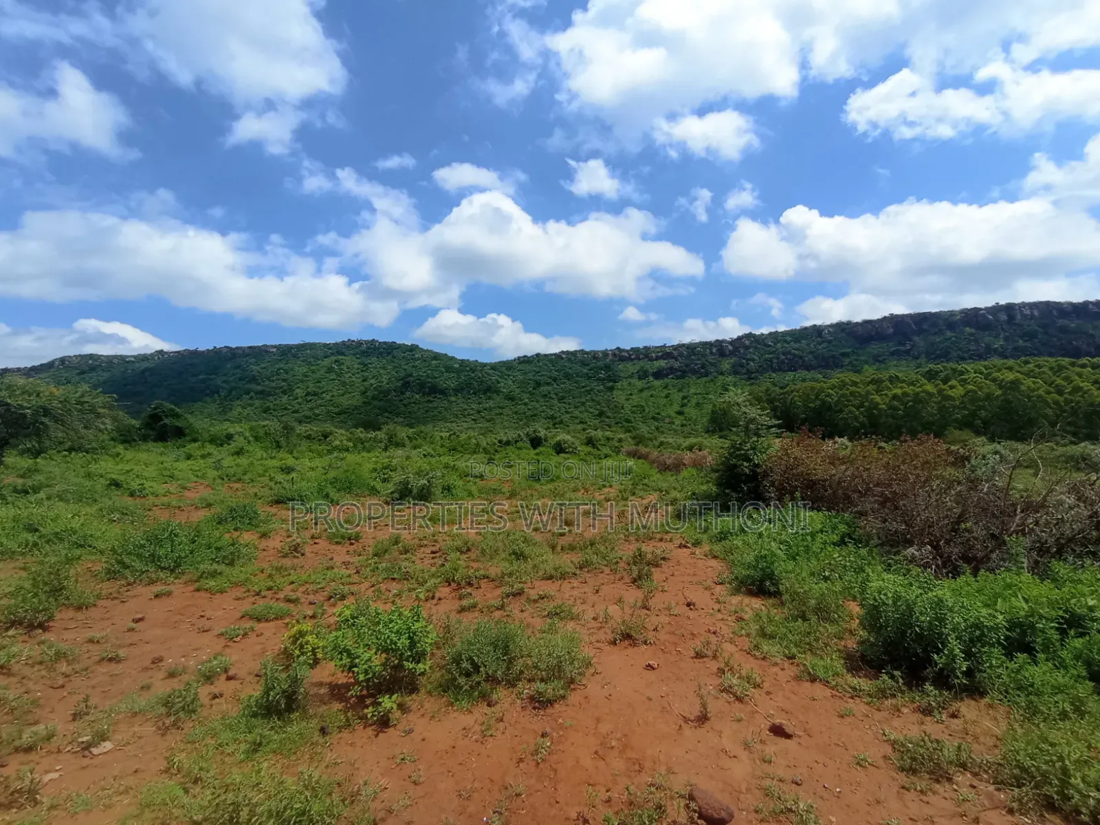 50×100 Plots for Sale in Kimuka, Ngong. in Kibiku