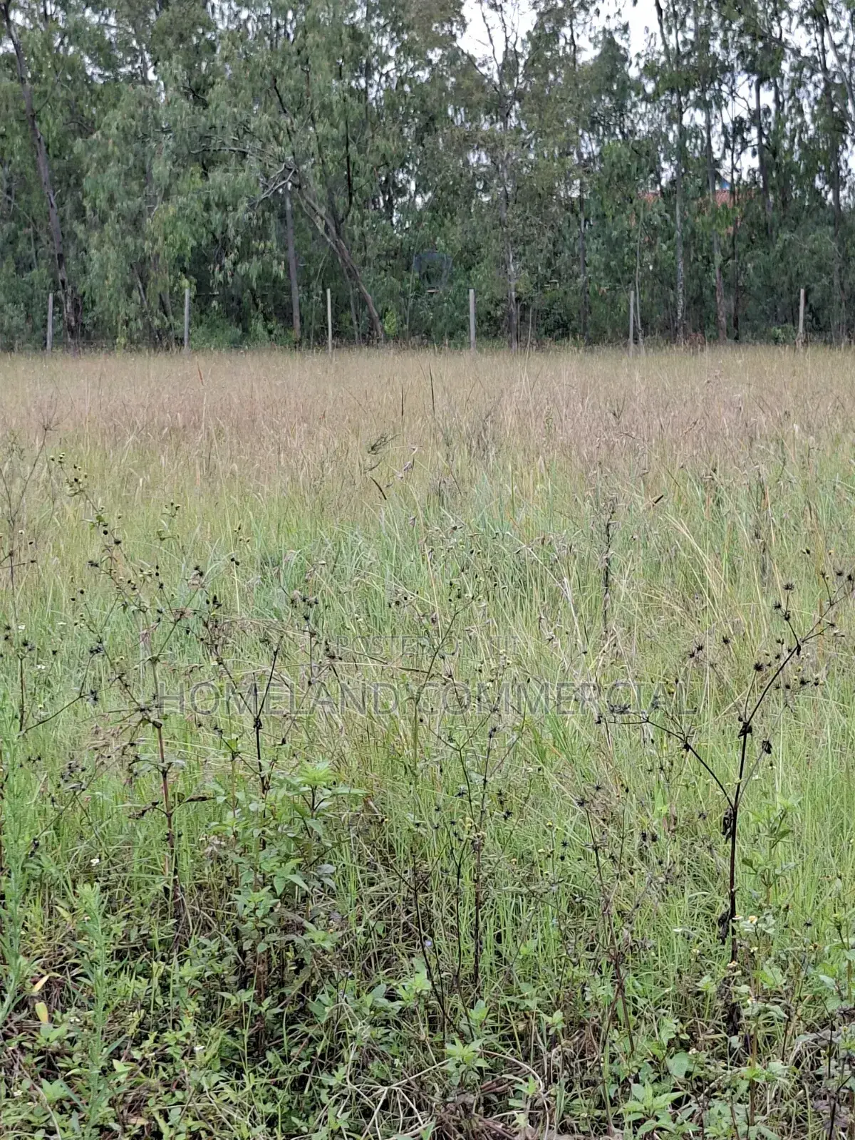 11 Acres Prime Land for Jv on Limuru Road in Gigiri