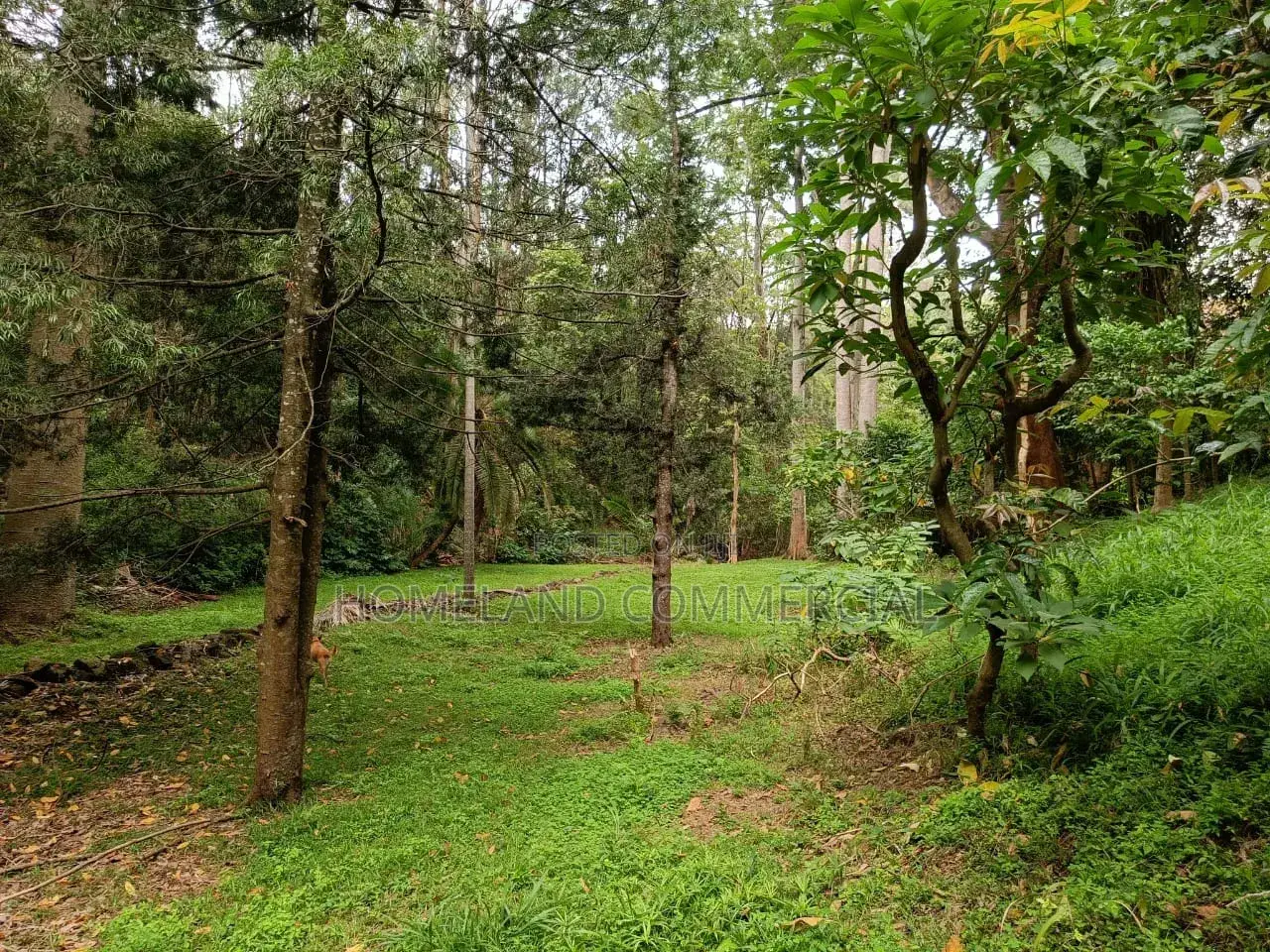 5 Acres for Sale in Karen in Karen C