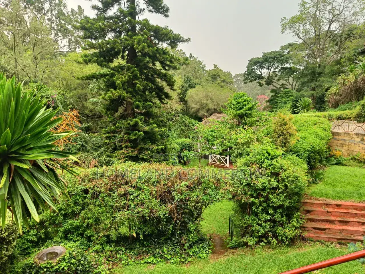 1/ 2 Acres Land for Sale in Karen Miotoni in Hardy