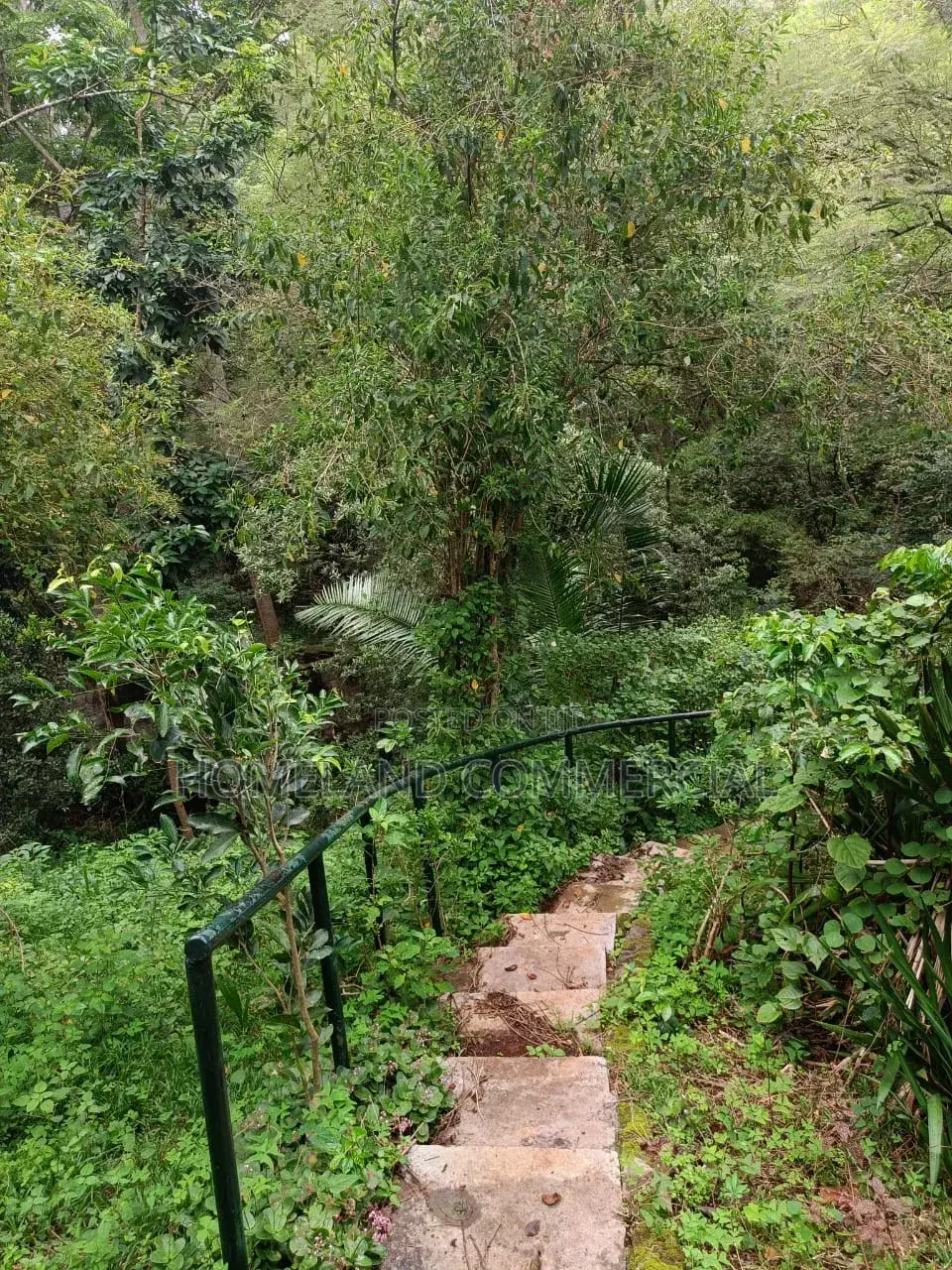 1/ 2 Acres Land for Sale in Karen Miotoni in Hardy