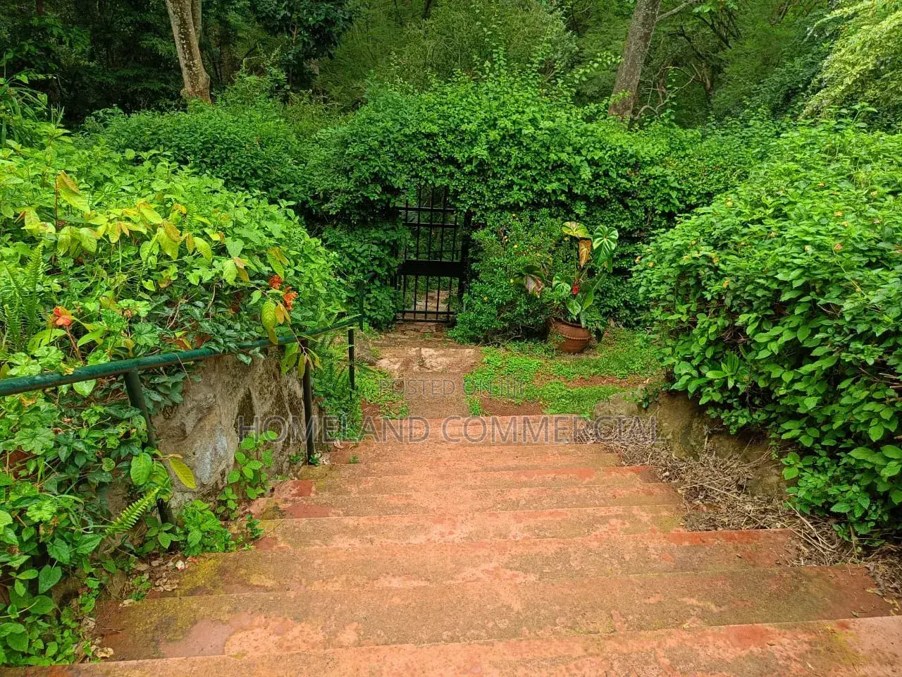 1/ 2 Acres Land for Sale in Karen Miotoni in Hardy