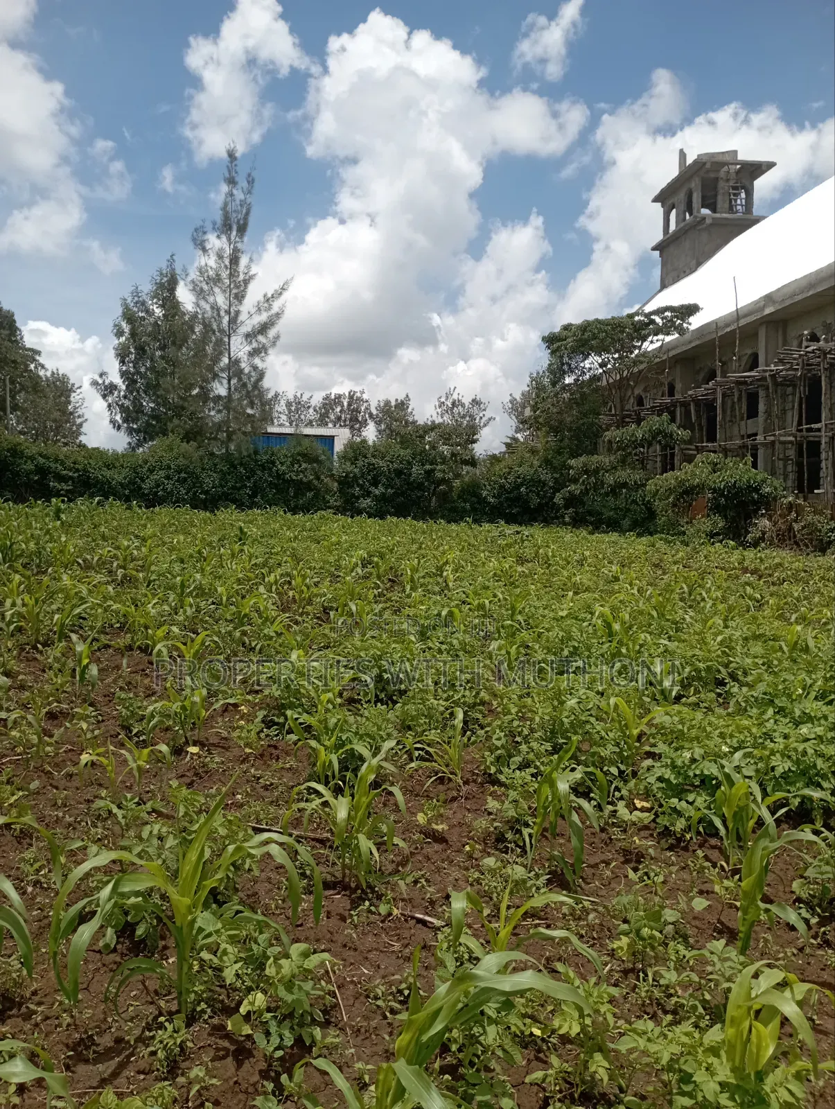 3/4 Acre for Sale in Olkeri, Karen West. in Ol Keri