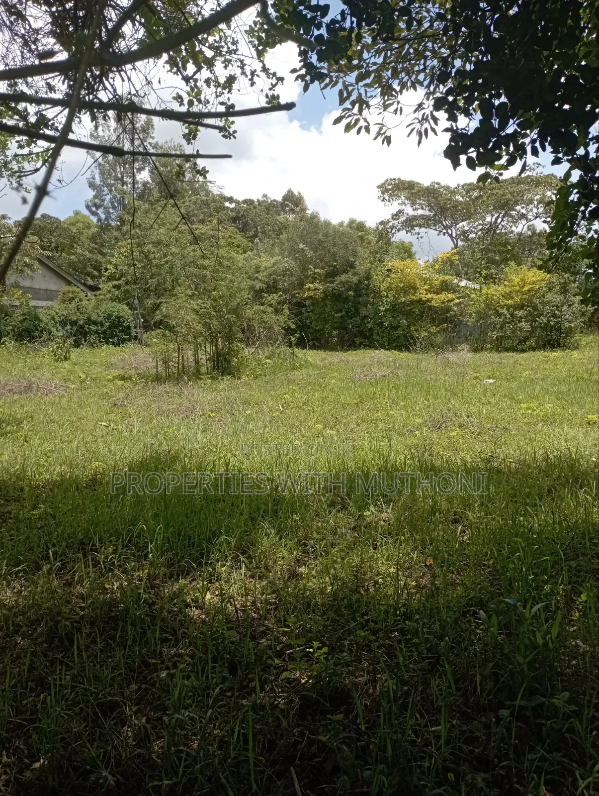 1/2 Acre Land for Sale in Olkeri, Ngong. in Ol Keri