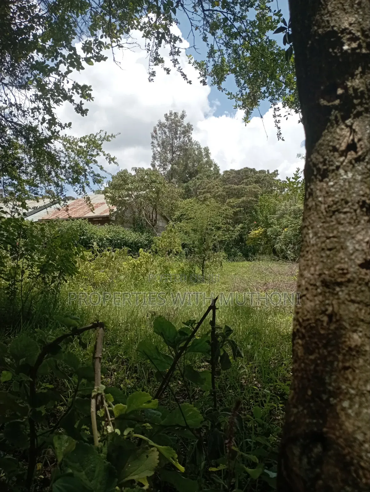 1/2 Acre Land for Sale in Olkeri, Ngong. in Ol Keri