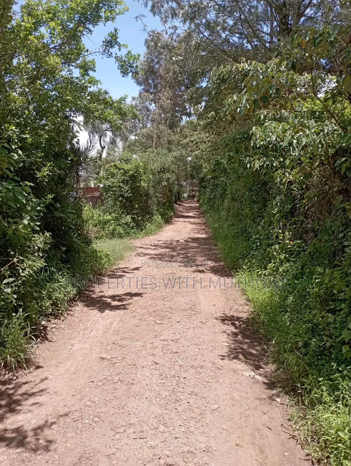 1/2 Acre Land for Sale in Olkeri, Ngong. in Ol Keri