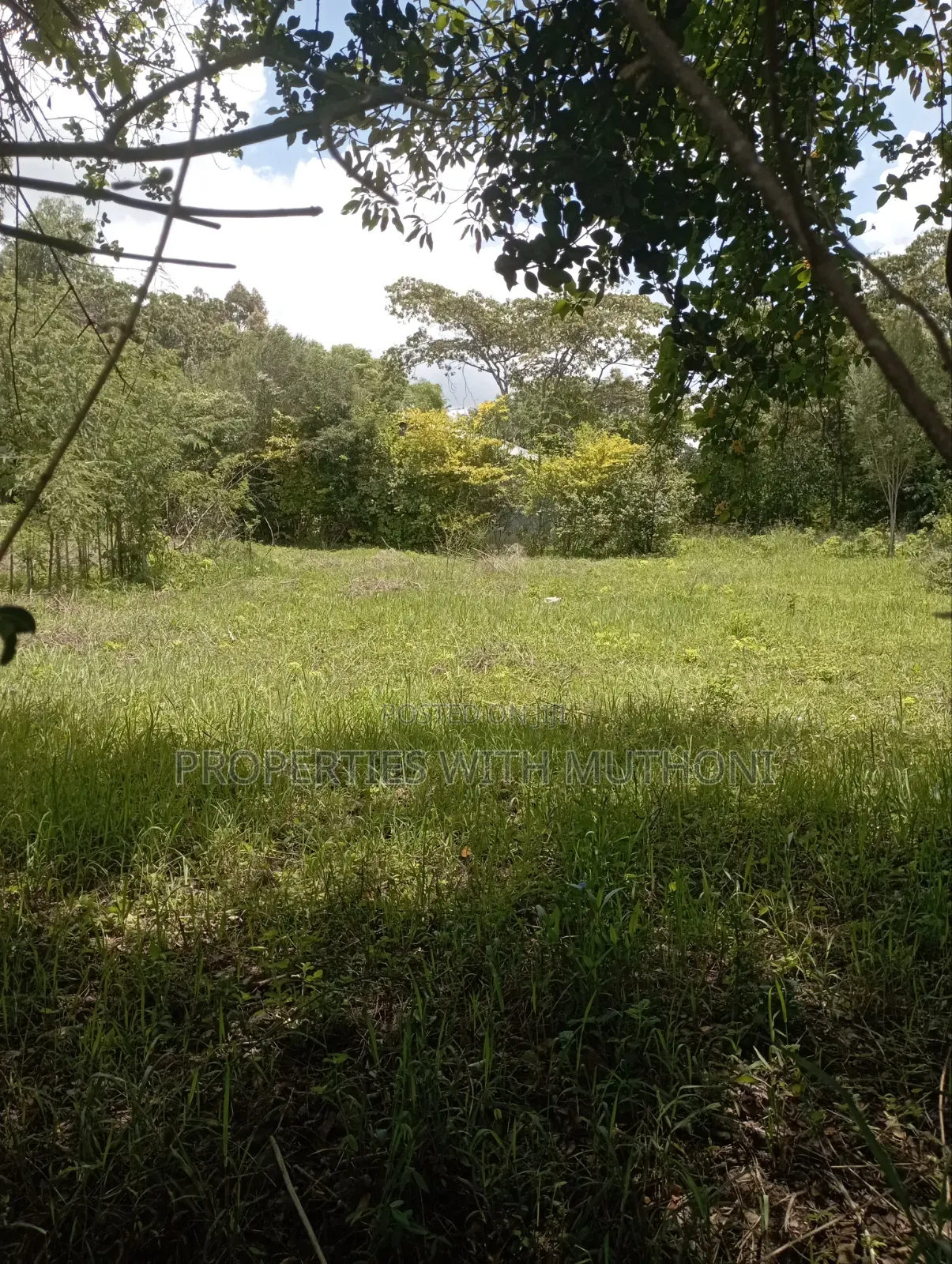 1/2 Acre Land for Sale in Olkeri, Ngong. in Ol Keri