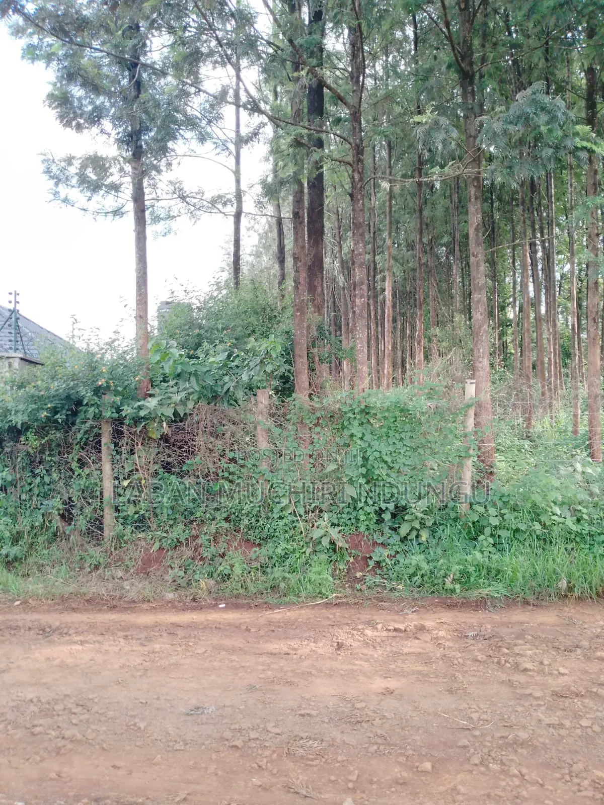 Kitusuru Land Sale in Kitisuru