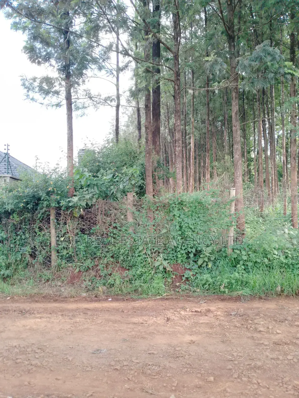 Kitusuru Land Sale in Kitisuru