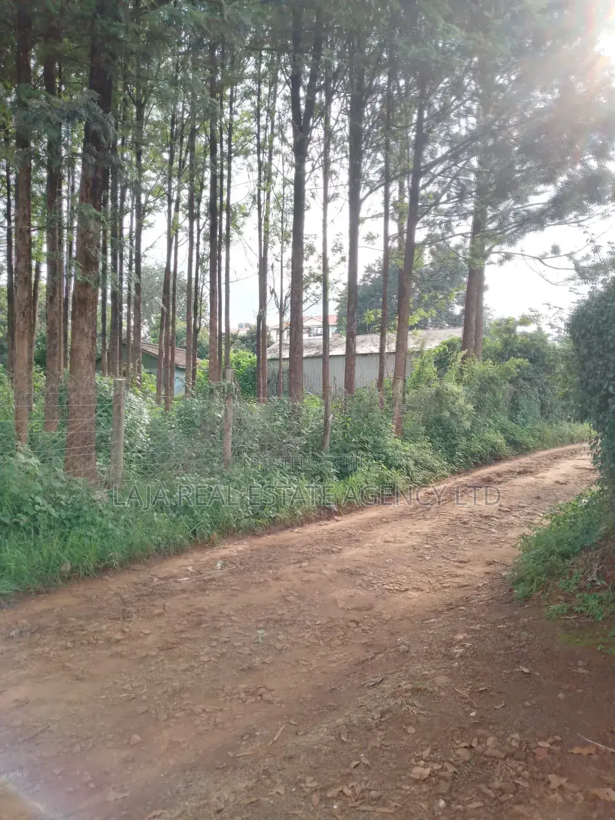Kitusuru Land Sale in Kitisuru