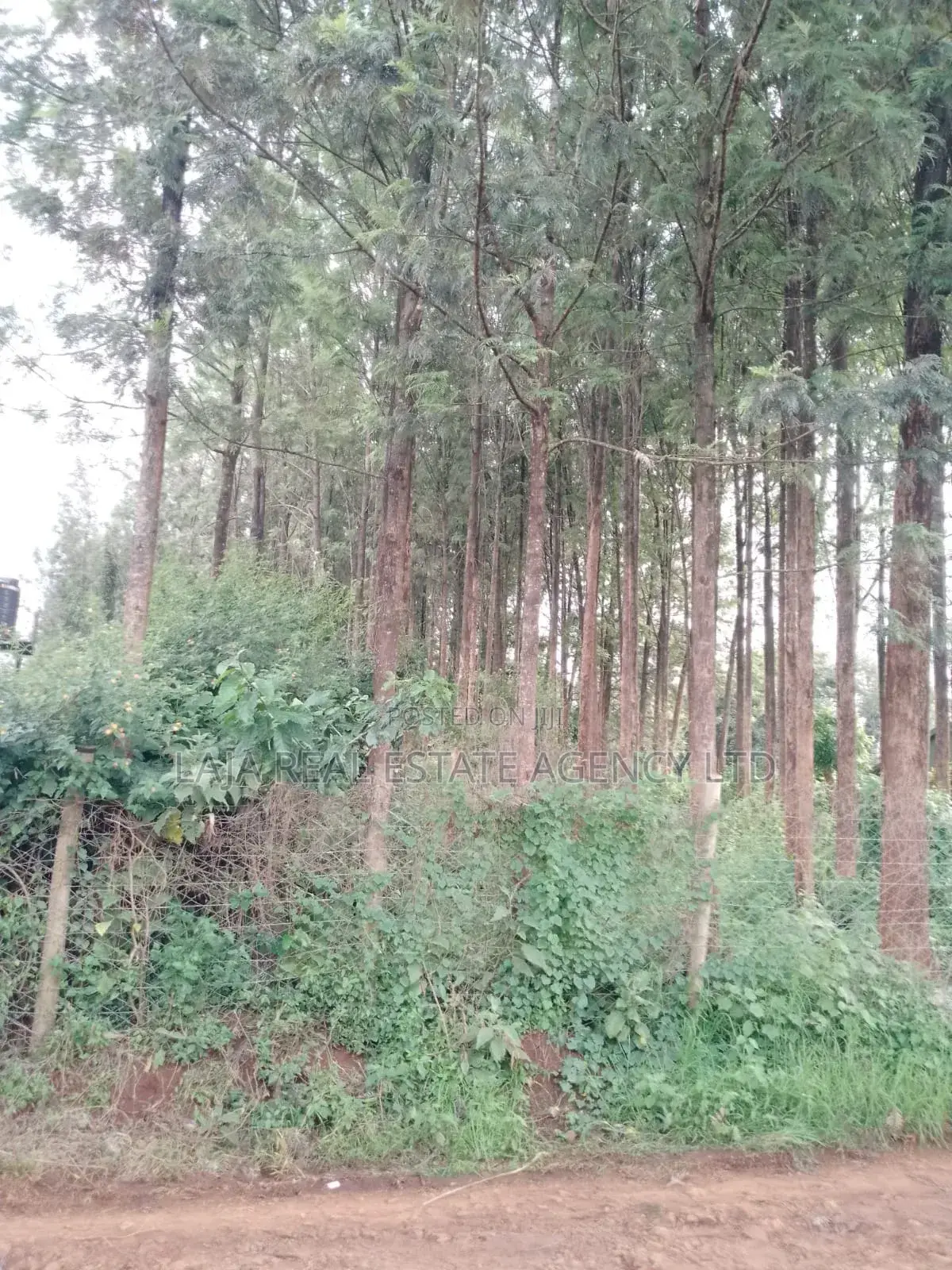 Kitusuru Land Sale in Kitisuru