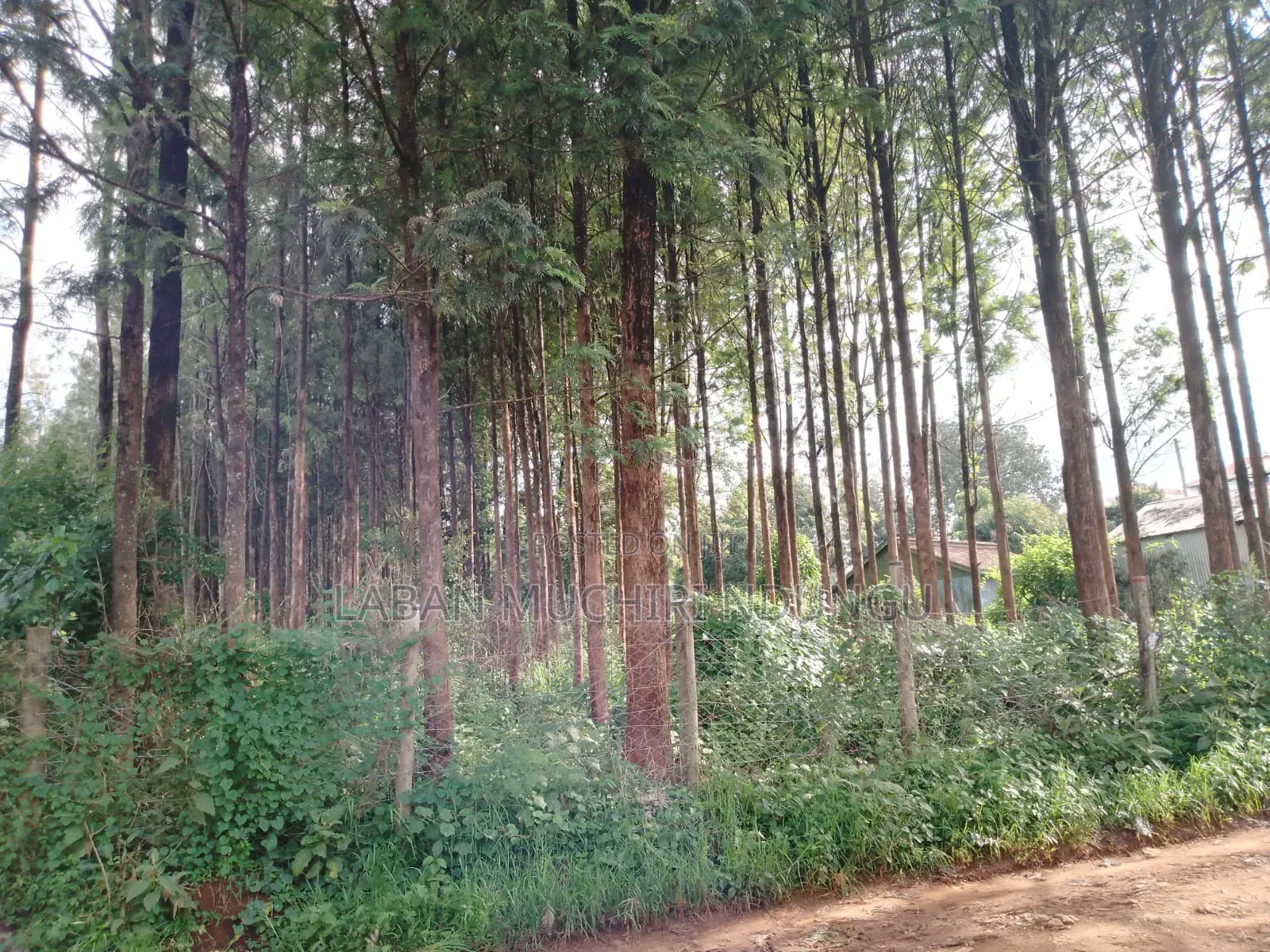 Kitusuru Land Sale in Kitisuru