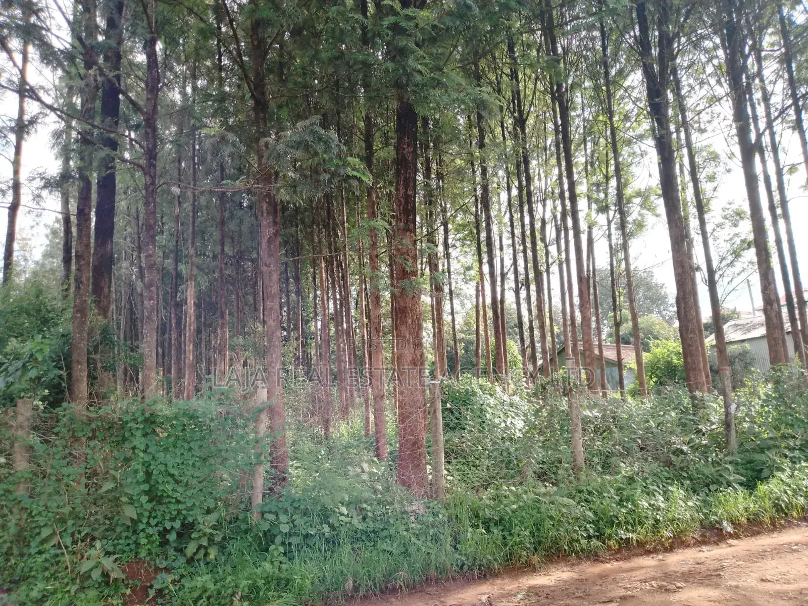 Kitusuru Land Sale in Kitisuru