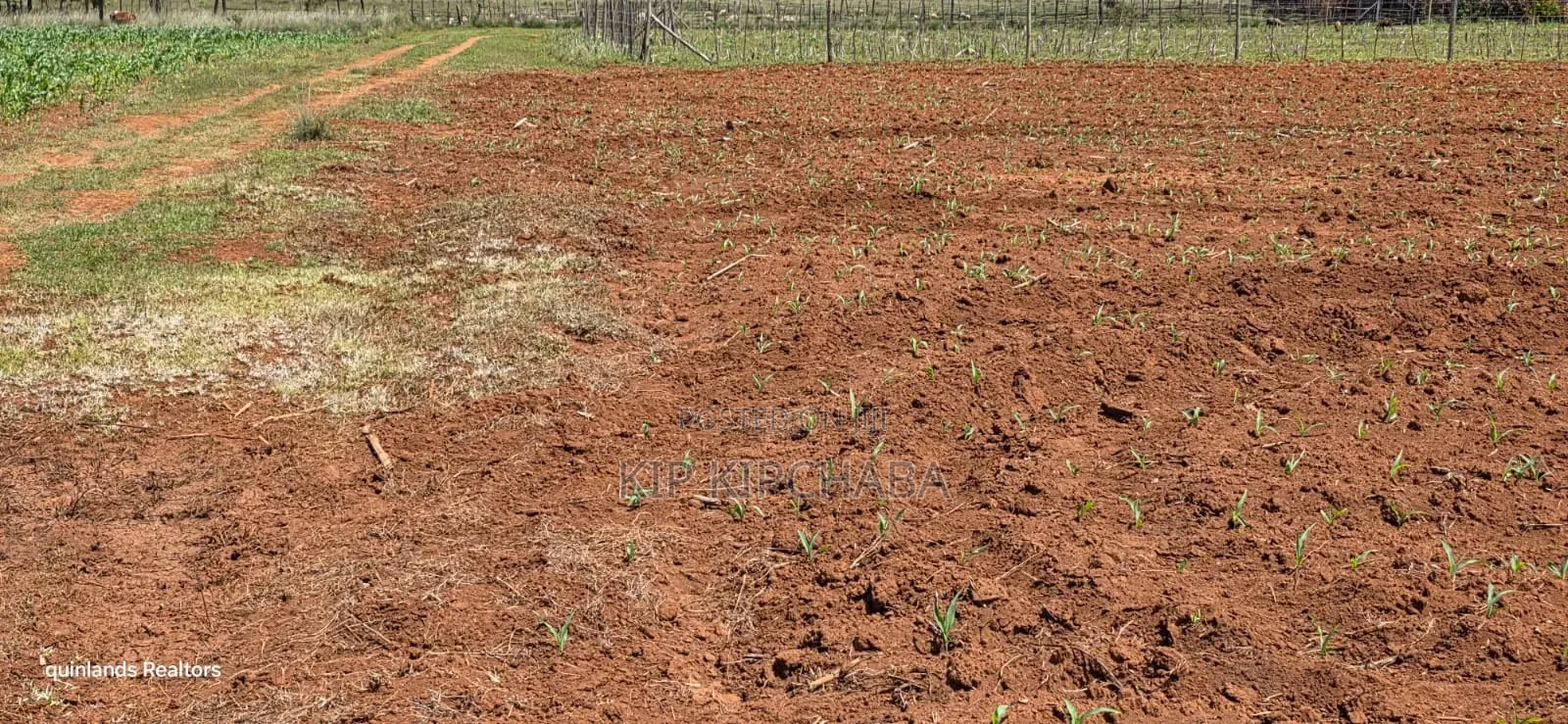 Prime 2 Acres for Sale Illula L8mo Eldoret in Illula