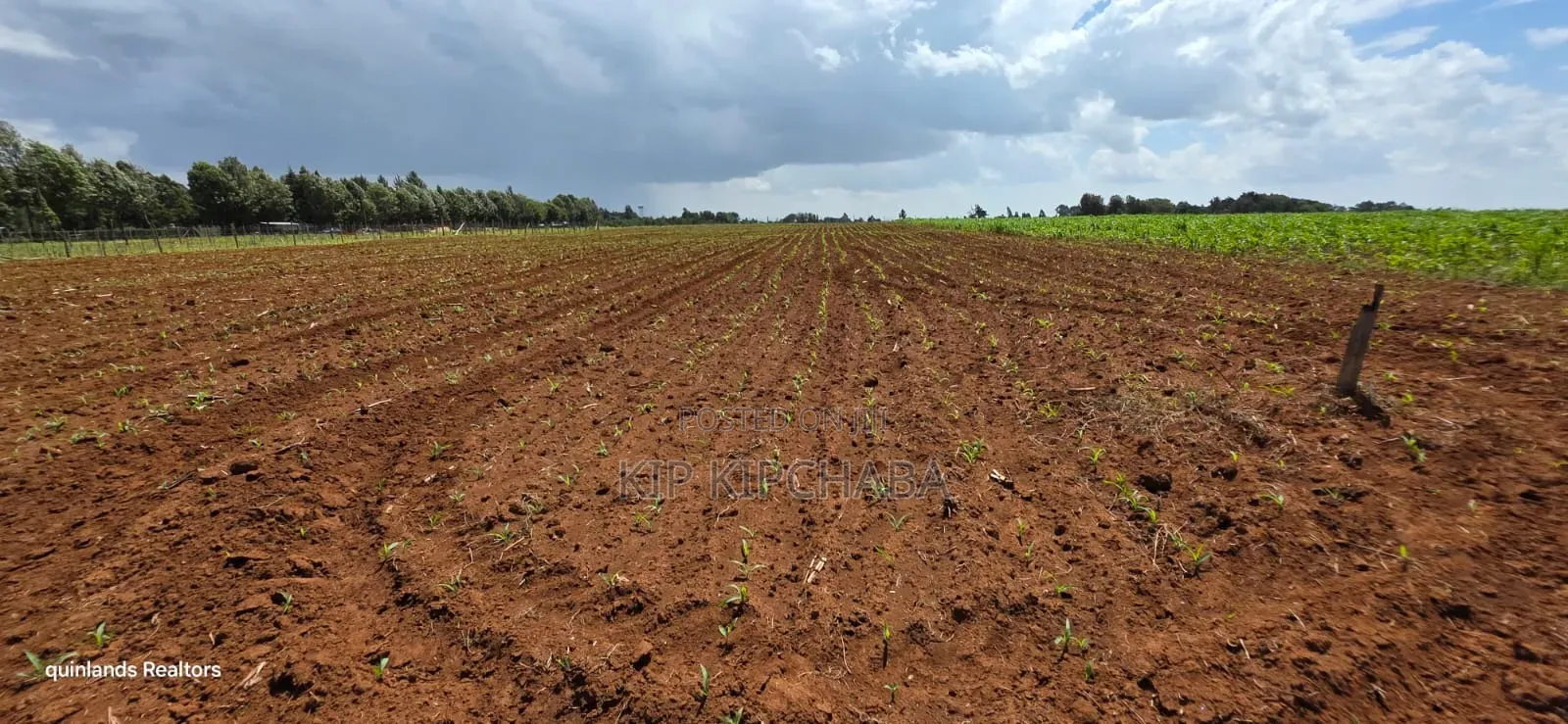 Prime 2 Acres for Sale Illula L8mo Eldoret in Illula