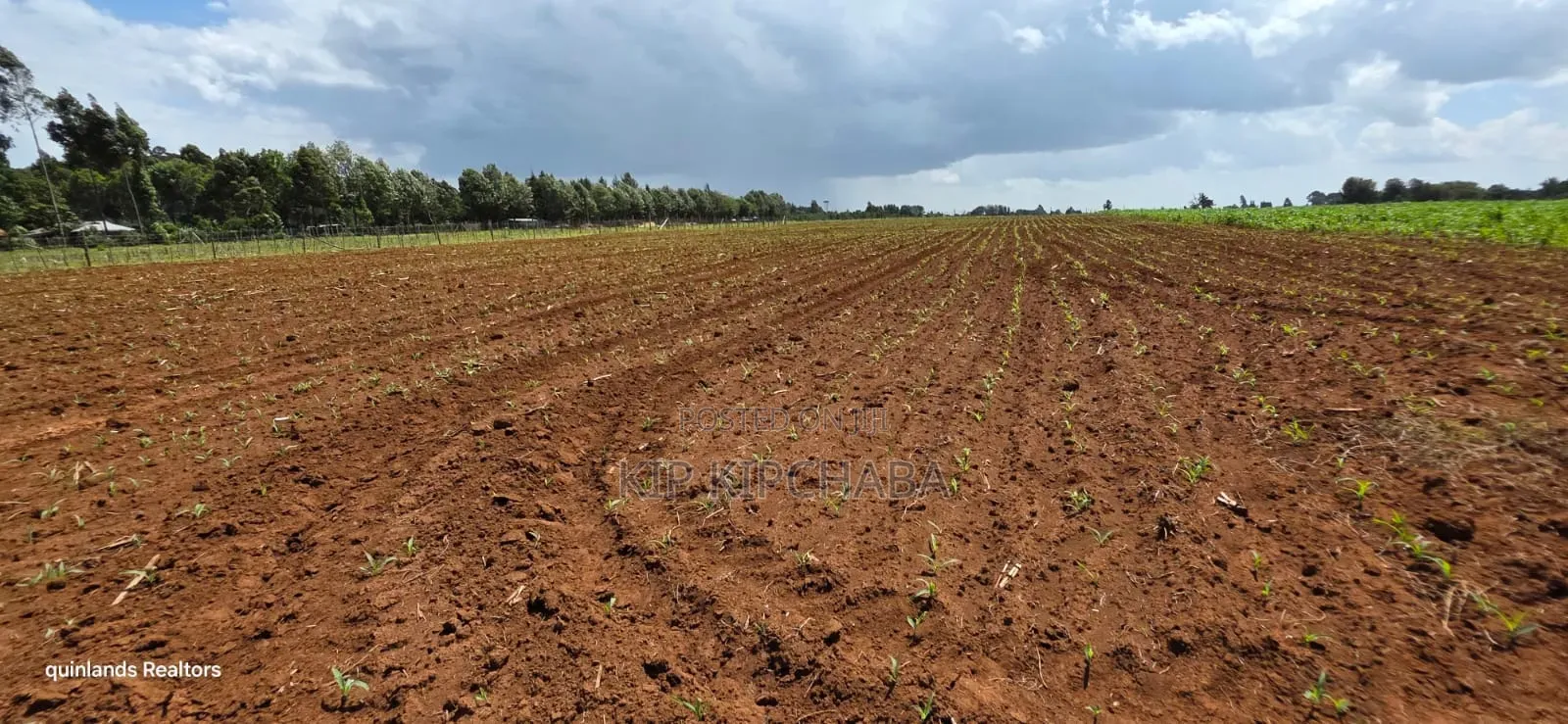 Prime 2 Acres for Sale Illula L8mo Eldoret in Illula